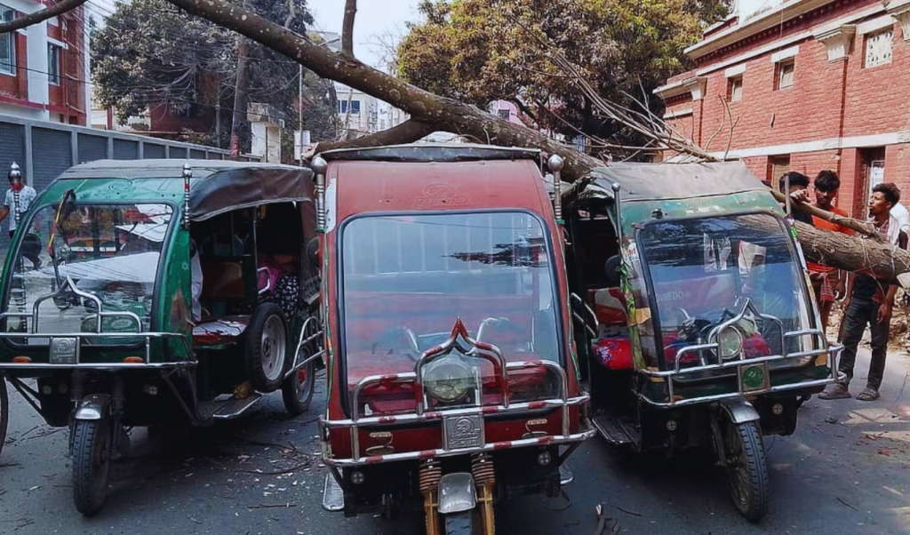 ফরিদপুরে মেহগনিগাছ পড়ে তিন ইজিবাইক ক্ষতিগ্রস্ত 2 ফরিদপুরে মেহগনিগাছ পড়ে তিন ইজিবাইক ক্ষতিগ্রস্ত