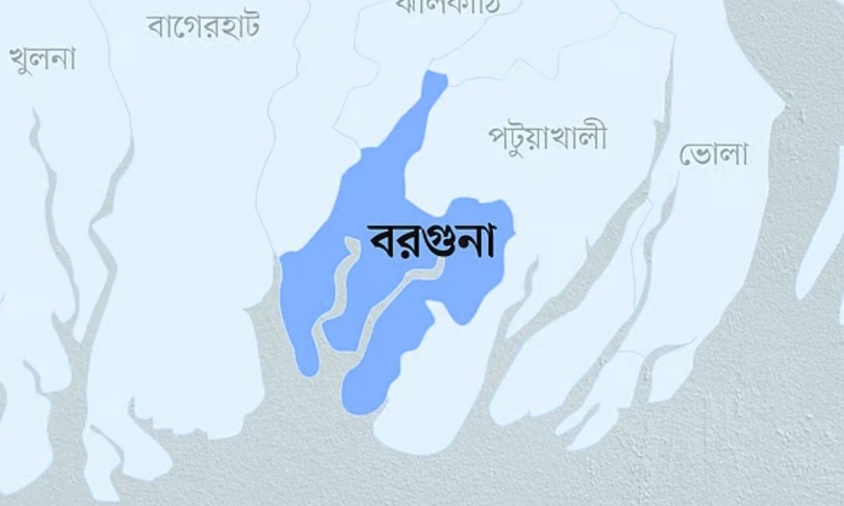 বেতাগীতে আওয়ামী লীগ কার্যালয়ে ছাত্রলীগের প্রবেশ ও পতাকা উত্তোলন