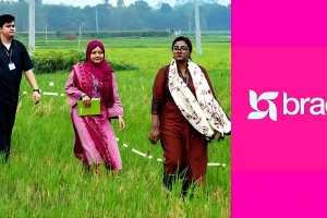 ব্র্যাক নিয়োগে ট্রেইনার, পাওয়া যাবে বীমাসহ সুযোগ