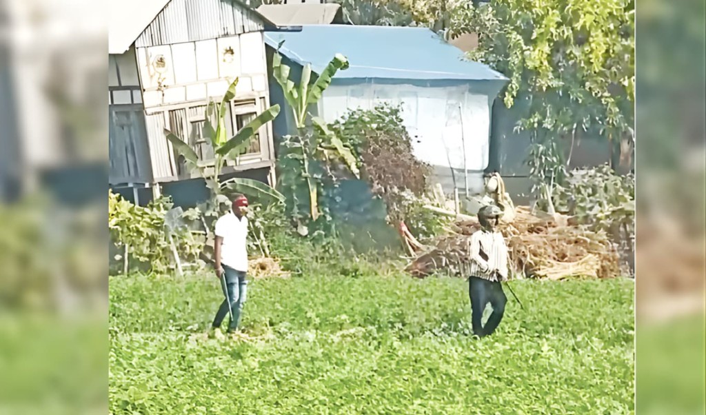 ভোটের আগে ৩ হাজার সন্ত্রাসীর তালিকা প্রকাশ