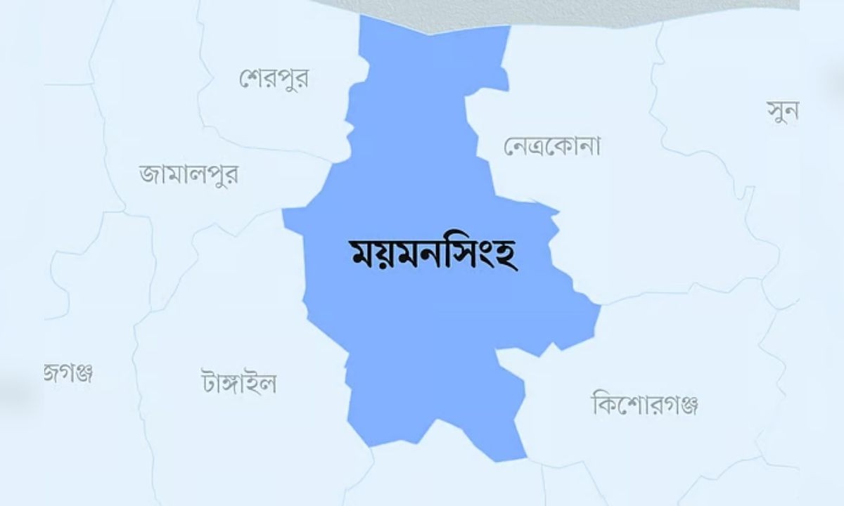 ময়মনসিংহে ধানের শীষের প্রার্থীর সমর্থকদের হামলায় সাবেক এমপির গাড়ি ভাঙচুর