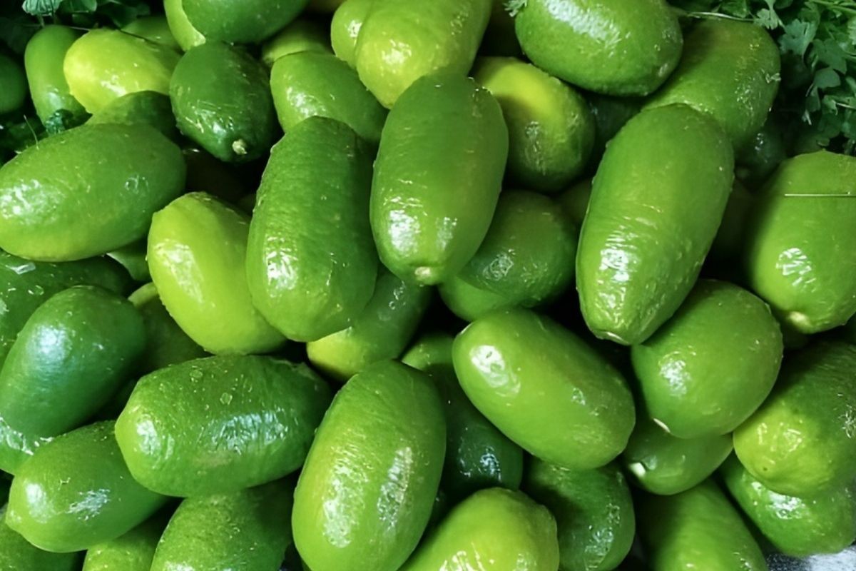রমজানে লেবুর দাম আকাশছোঁয়া