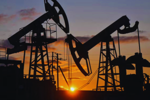 রাশিয়ার পেট্রল রপ্তানি স্থগিত পরিকল্পনা