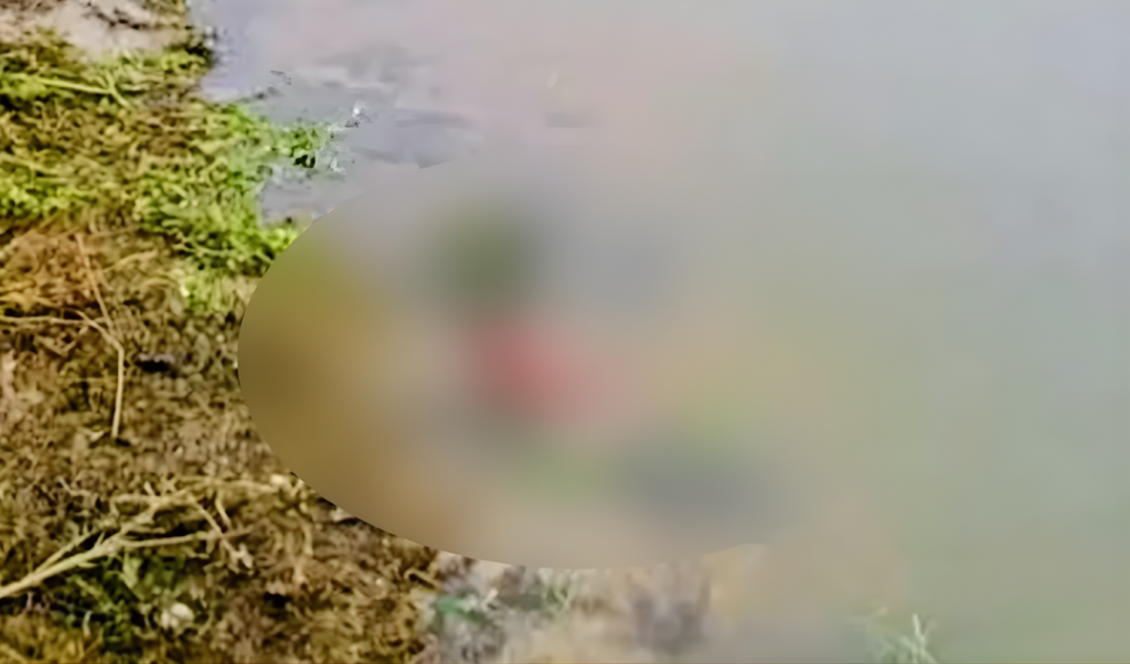 আজকের বাংলাদেশি টাকার বিনিময় হার 1 1 নদীতে ভাসমান নবজাতকের মরদেহ উদ্ধার
