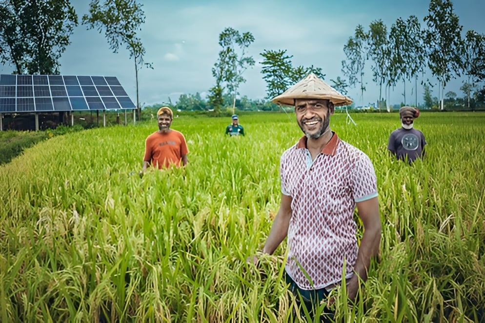 কৃষকদের জন্য ফসল বীমার নতুন উদ্যোগ কৃষকদের জন্য ফসল বীমার নতুন উদ্যোগ