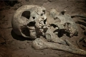 গাজীপুরে ময়লার স্তূপ থেকে মানব কঙ্কাল উদ্ধার, রহস্য উন্মোচনের চেষ্টা