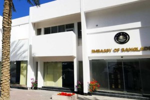 চার্টার্ড ফ্লাইটে দেশে ফিরছেন ২৮২ প্রবাসী