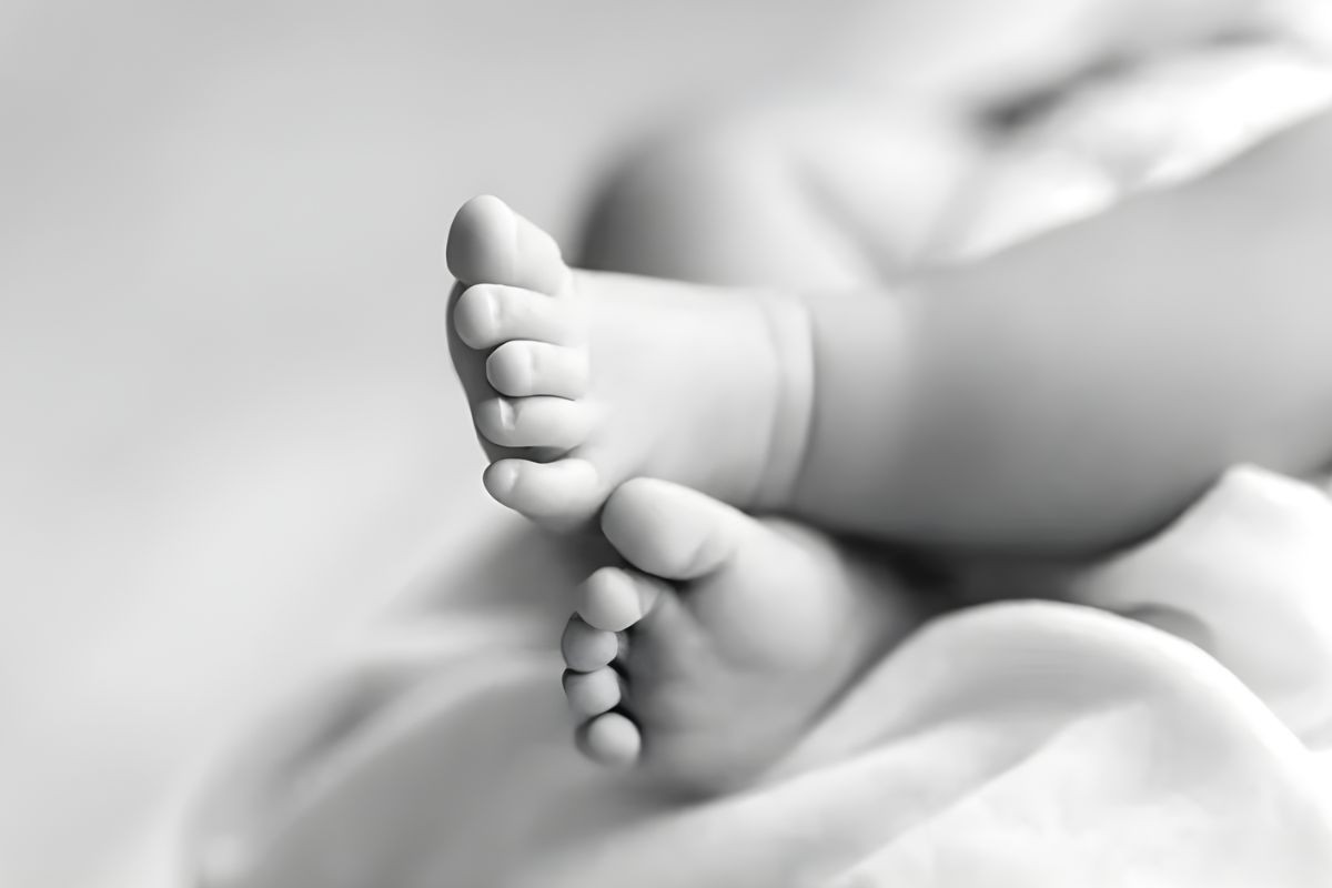 জুরাইনে কার্টনে নবজাতক উদ্ধার