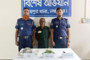 লক্ষ্মীপুরে গাঁজা চাষ-বিক্রিতে বৃদ্ধ গ্রেফতার, বিপুল উদ্ধার