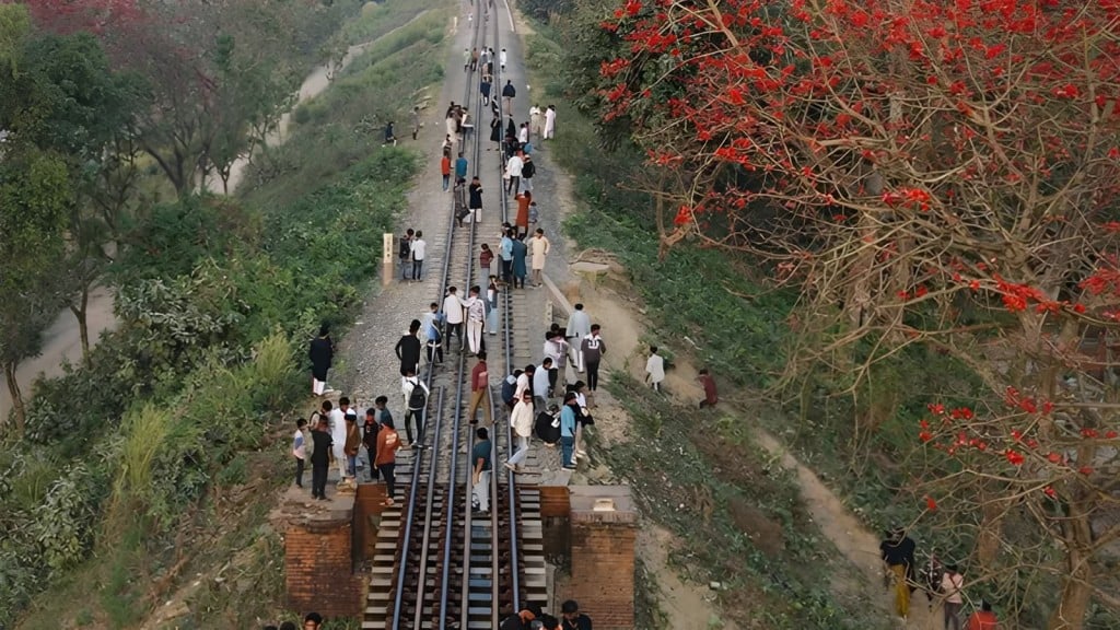 শিমুলের সৌন্দর্য দেখতে ট্রেনে প্রাণ হারালেন দুই যুবক শিমুলের সৌন্দর্য দেখতে ট্রেনে প্রাণ হারালেন দুই যুবক