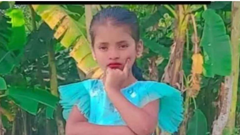 শিশু হত্যা সন্দেহে গণপিটুনিতে দুই নিহত