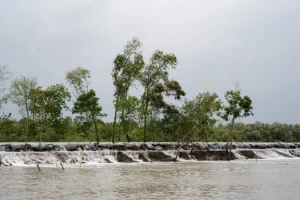 উপকূলীয় দরিদ্র জনগোষ্ঠীর সুরক্ষায় জলবায়ু বীমা প্রসারের গুরুত্ব ও বিশেষজ্ঞ সুপারিশ