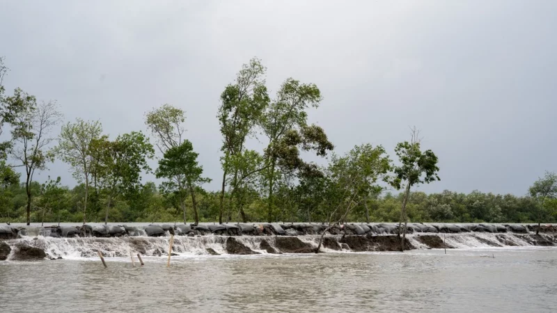 উপকূলীয় দরিদ্র জনগোষ্ঠীর সুরক্ষায় জলবায়ু বীমা প্রসারের গুরুত্ব ও বিশেষজ্ঞ সুপারিশ