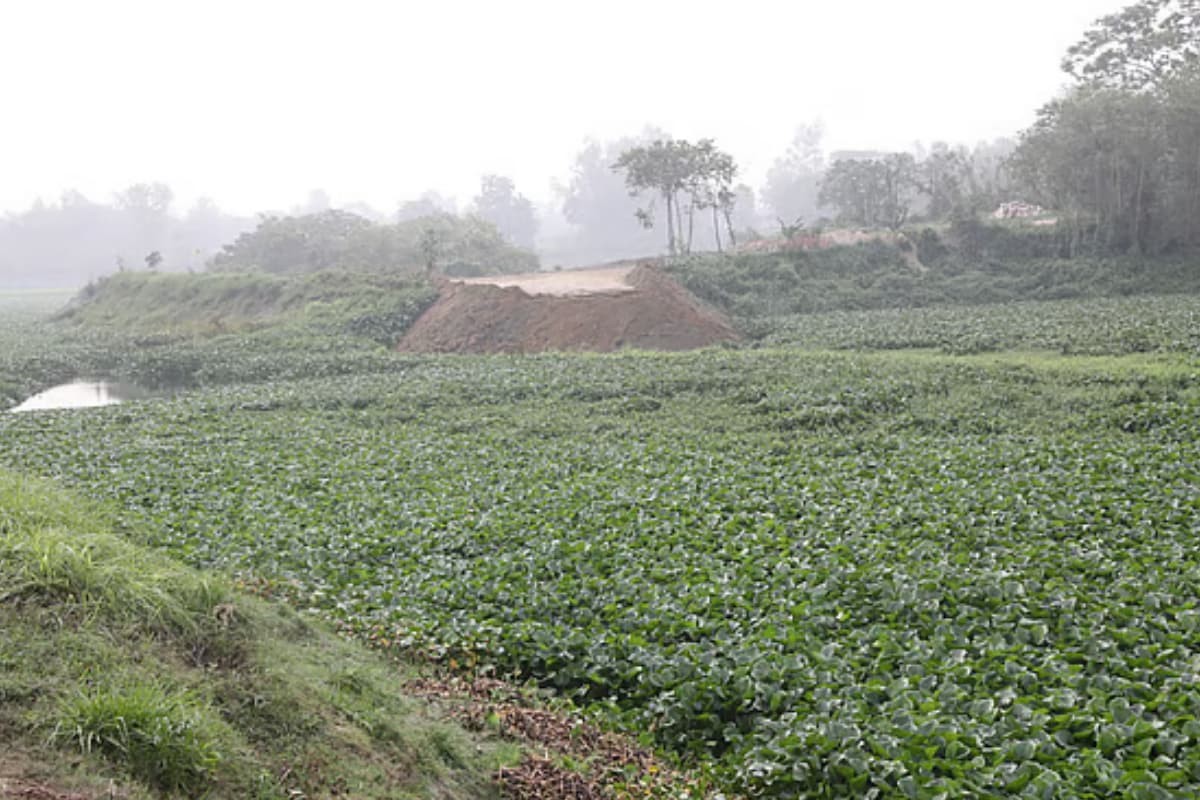 করতোয়া নদী বাঁচাতে সরকারের নতুন উদ্যোগ