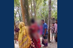 করলা চুরির অভিযোগে নারীর নির্যাতন