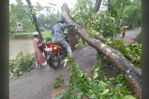 কালবৈশাখীতে লণ্ডভণ্ড কুমিল্লা, ১৭৩৩ হেক্টর ফসল নষ্ট