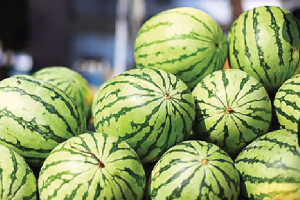 চার বছরে দেশে তরমুজ উৎপাদন প্রায় দ্বিগুণ বৃদ্ধি