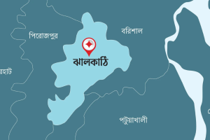 ঝালকাঠিতে ফেসবুক লাইভে বাবার  দুই সন্তানসহ বিষপান