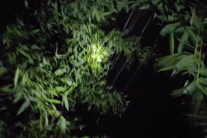টানা বিদ্যুৎহীনতায় মতলব দক্ষিণে ১৩০ গ্রাম