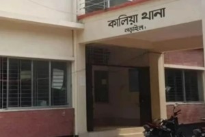 নড়াইলে মুক্তিযোদ্ধাকে জমি বিরোধে কুপিয়ে জখম