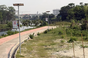 পূর্বাচলে সবুজায়নের নামে বরাদ্দ: ডিএনসিসির সাবেক প্রশাসকের বিতর্কিত কার্যক্রম