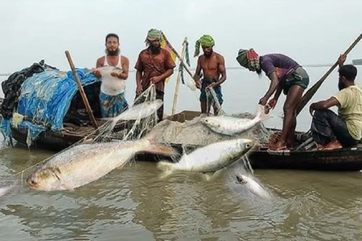 বঙ্গোপসাগরে ৫৮ দিনের মাছ ধরায় নিষেধাজ্ঞা শুরু