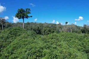 বান্দরবানে রাবার বাগানের ৬ শ্রমিক অপহরণ: ২০ লাখ টাকা মুক্তিপণ দাবি