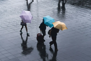 বৈশ্বিক দুর্যোগে বিমা ব্যবস্থায় বাড়ছে চাপ ও ঝুঁকি