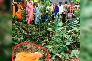 সিংগাইরে নারীর মরদেহ উদ্ধার, রহস্য ঘনীভূত
