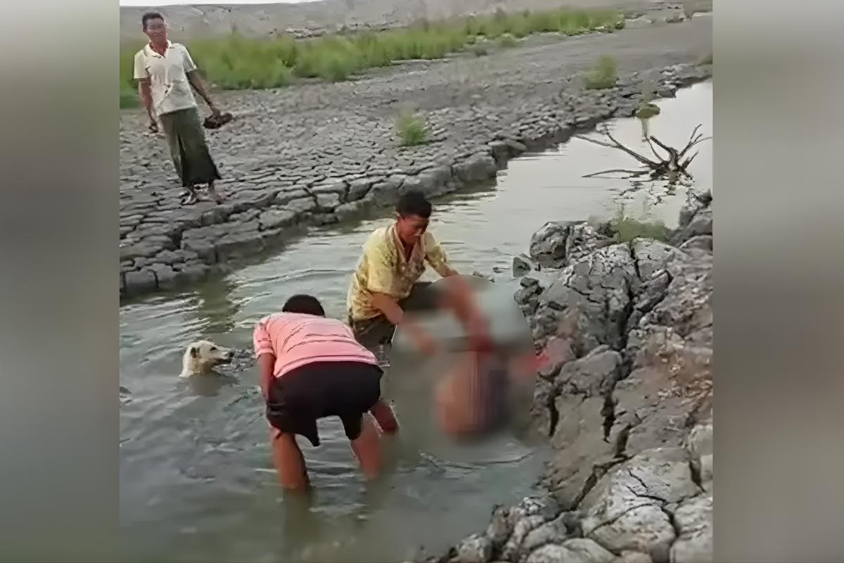 হরিণ জবাইয়ে এলাকায় তীব্র ক্ষোভ