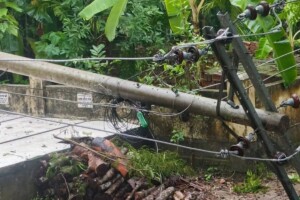 কালবৈশাখীর তাণ্ডবে মেহেন্দীগঞ্জ লণ্ডভণ্ড, বিদ্যুৎহীন চরাঞ্চলে চরম দুর্ভোগ