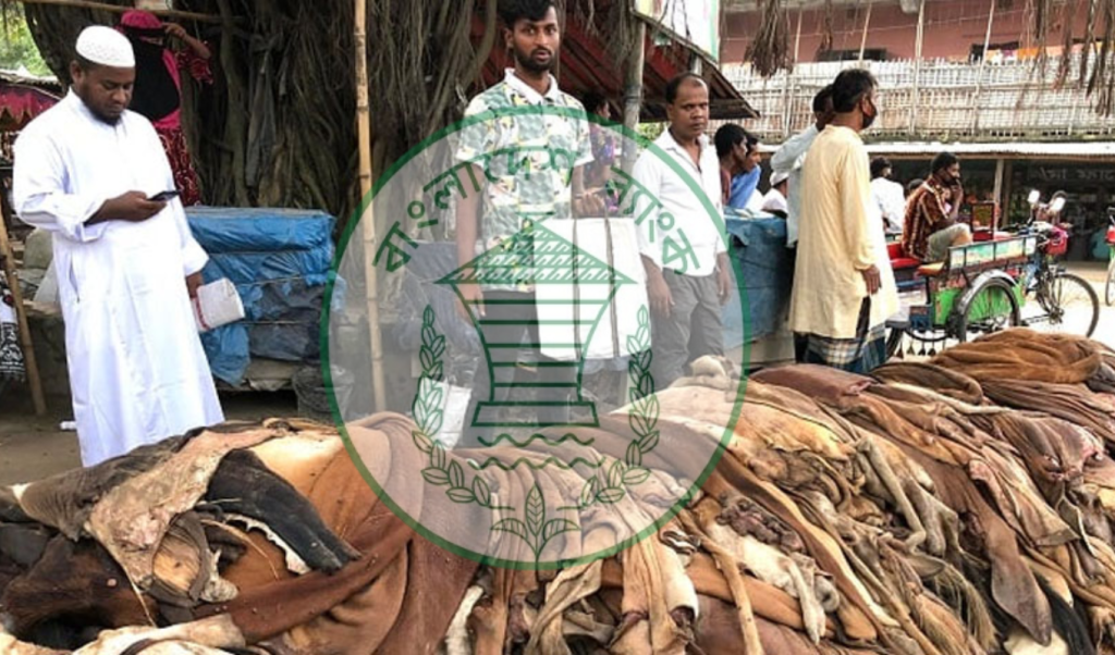 কোরবানির কাঁচা চামড়া সংগ্রহ ও অর্থায়ন নিশ্চিতে বাংলাদেশ ব্যাংকের জরুরি নির্দেশনা কোরবানির কাঁচা চামড়া সংগ্রহ ও অর্থায়ন নিশ্চিতে বাংলাদেশ ব্যাংকের জরুরি নির্দেশনা
