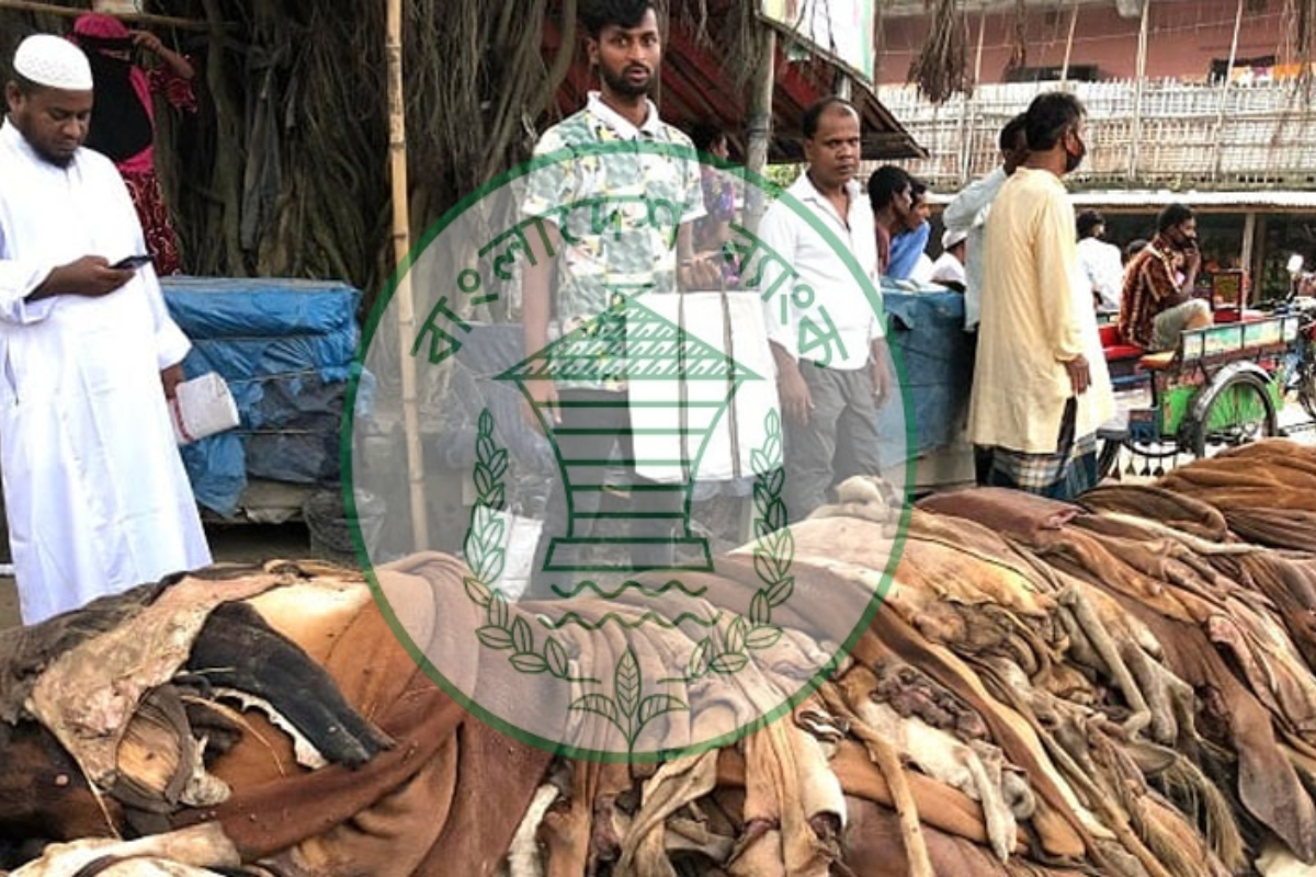 কোরবানির কাঁচা চামড়া সংগ্রহ ও অর্থায়ন নিশ্চিতে বাংলাদেশ ব্যাংকের জরুরি নির্দেশনা