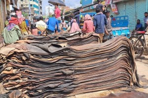 চামড়া ব্যবস্থাপনায় সরকারের নতুন সিদ্ধান্ত