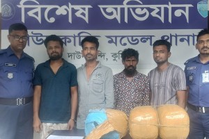 দাউদকান্দিতে মাদকসহ চার গ্রেপ্তার
