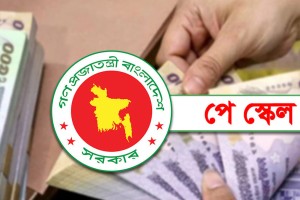 নবম বেতন স্কেল ঘিরে কর্মসূচি