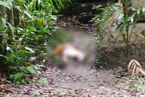 নিখোঁজের পর মিলল বৃদ্ধের মরদেহ