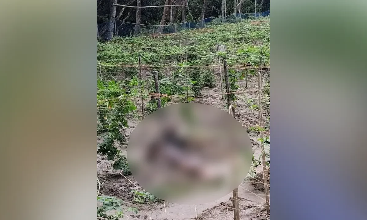 শ্রীরামপুর মাঠে যুবকের মরদেহ উদ্ধার