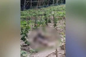 শ্রীরামপুর মাঠে যুবকের মরদেহ উদ্ধার