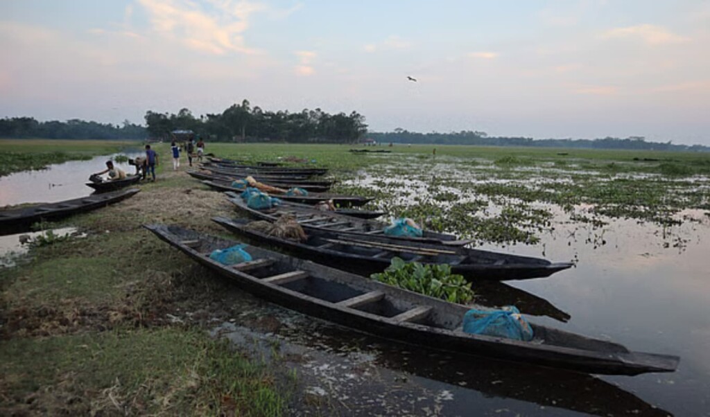 কাউয়াদীঘি হাওরপারের একবেলার ঐতিহ্যবাহী ছোট মাছের হাট 4 কাউয়াদীঘি হাওরপারের একবেলার ঐতিহ্যবাহী ছোট মাছের হাট