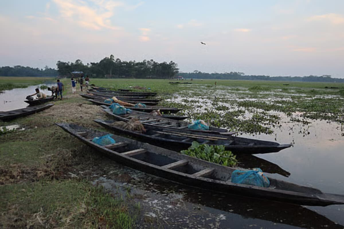কাউয়াদীঘি হাওরপারের একবেলার ঐতিহ্যবাহী ছোট মাছের হাট