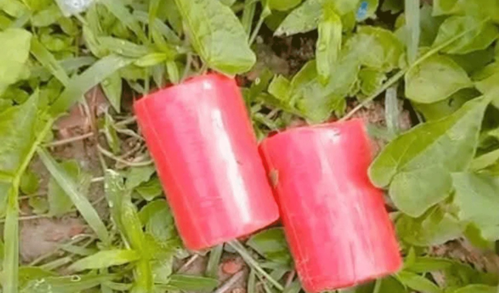 কালীগঞ্জে বিএনপি কার্যালয়ে আগুন ও দুটি ককটেল উদ্ধার কালীগঞ্জে বিএনপি কার্যালয়ে আগুন ও দুটি ককটেল উদ্ধার