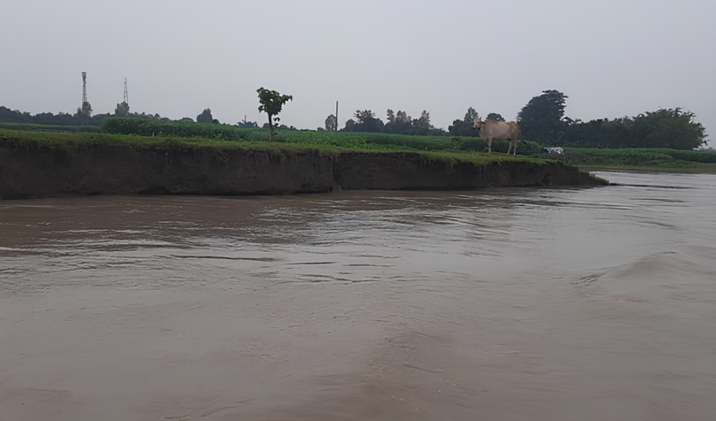 কুড়িগ্রামে নদ নদীর পানি বৃদ্ধি পেলেও বন্যার কোনো আশঙ্কা নেই কুড়িগ্রামে নদ-নদীর পানি বৃদ্ধি পেলেও বন্যার কোনো আশঙ্কা নেই