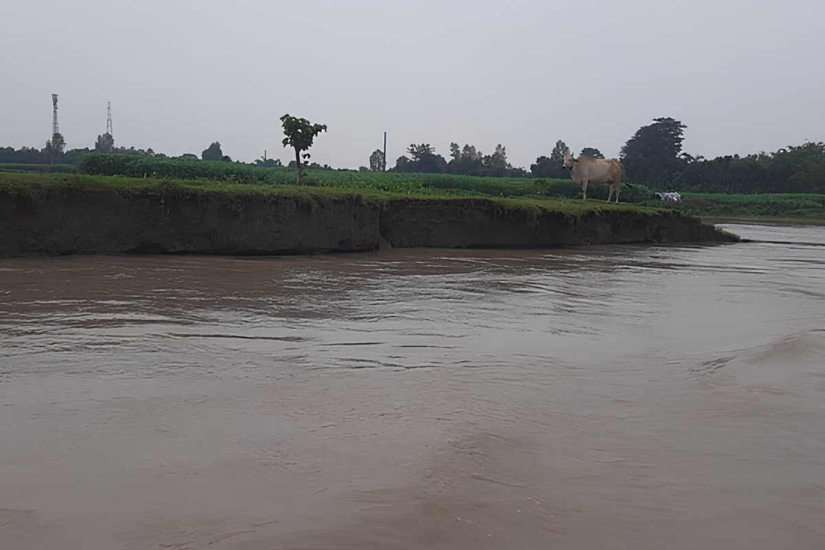 কুড়িগ্রামে নদ-নদীর পানি বৃদ্ধি পেলেও বন্যার কোনো আশঙ্কা নেই