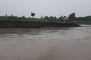 কুড়িগ্রামে নদ-নদীর পানি বৃদ্ধি পেলেও বন্যার কোনো আশঙ্কা নেই