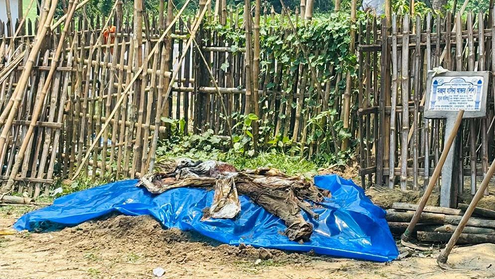 কুষ্টিয়ায় গৃহবধূর লাশ কবর উত্তোলন কুষ্টিয়ায় গৃহবধূর লাশ কবর উত্তোলন