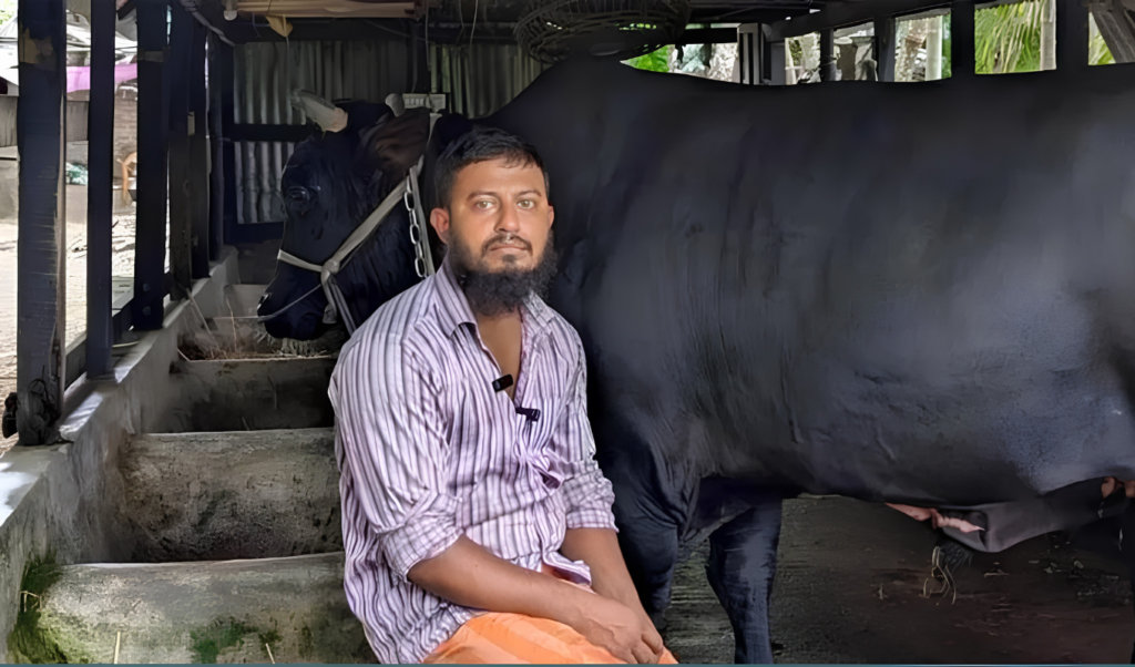 খালেদা জিয়াকে ‘কালো মানিক গরু দিতে চাওয়া সেই সোহাগ গ্রেপ্তার খালেদা জিয়াকে ‘কালো মানিক’ গরু দিতে চাওয়া সেই সোহাগ গ্রেপ্তার