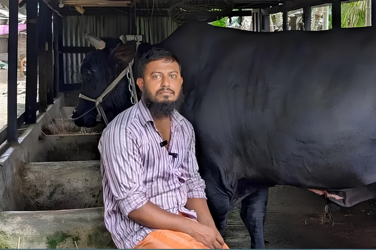 খালেদা জিয়াকে ‘কালো মানিক’ গরু দিতে চাওয়া সেই সোহাগ গ্রেপ্তার