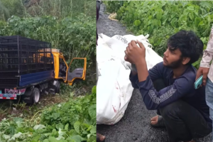 ঢাকা-আরিচা মহাসড়কে পিকআপ-ট্রাক সংঘর্ষে নিহত দুই যুবক
