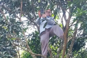 পাহাড়ি বিদ্যালয়ে নেটওয়ার্ক সংকটে অনলাইন হাজিরা